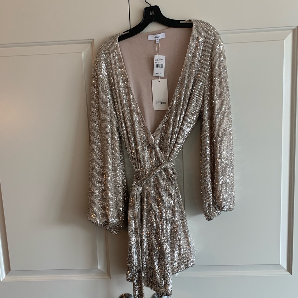 Brand new, gorgeous silver sequin dress!